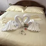 Dlmeti Shkodër