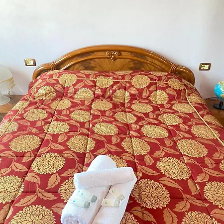 Dlmeti * Shkodër