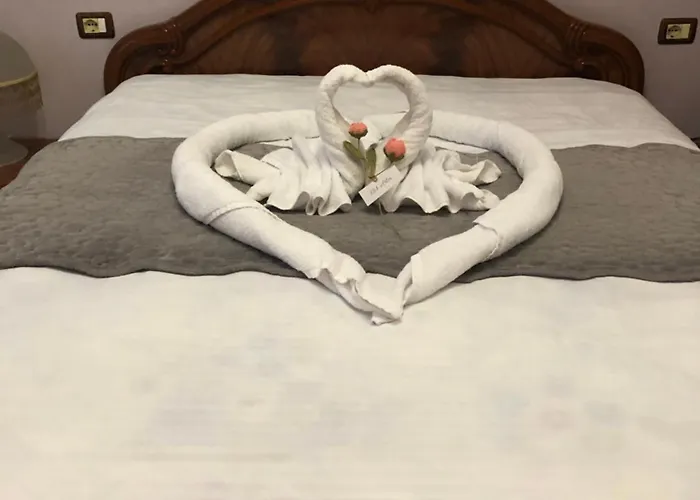 Dlmeti Apartment Shkodra