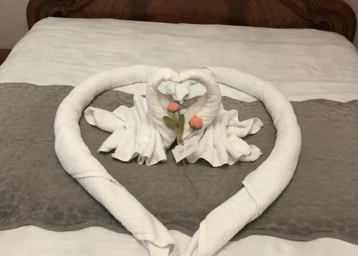 Dlmeti Apartment Shkodra